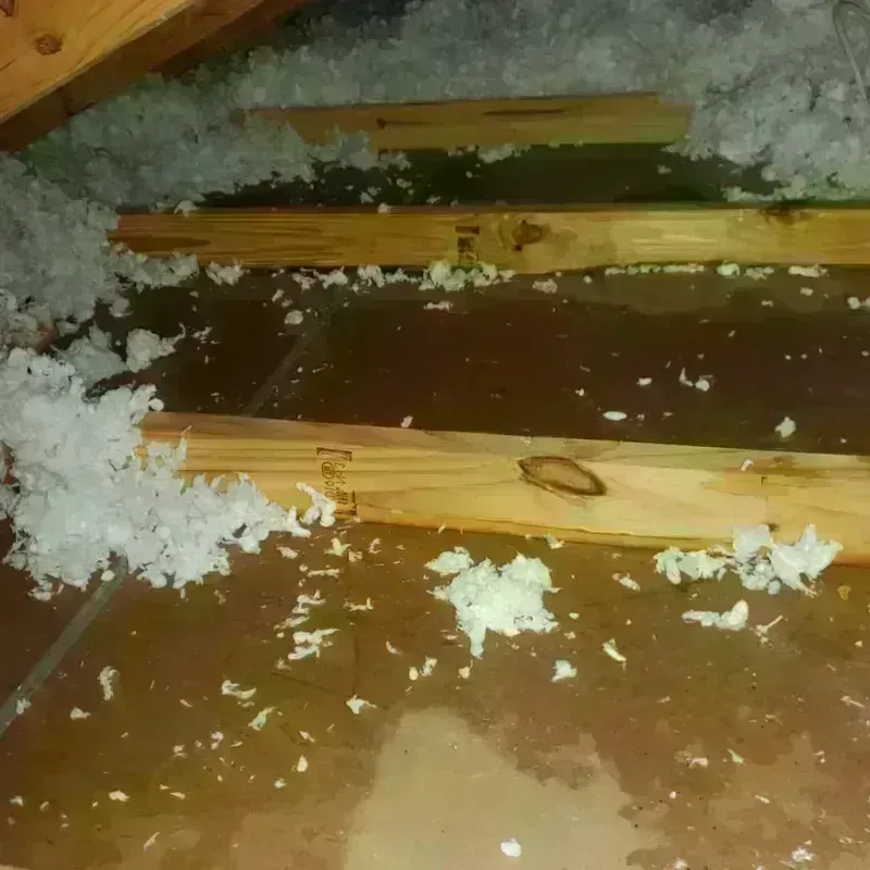 Attic Water Damage in Logan Square, IL