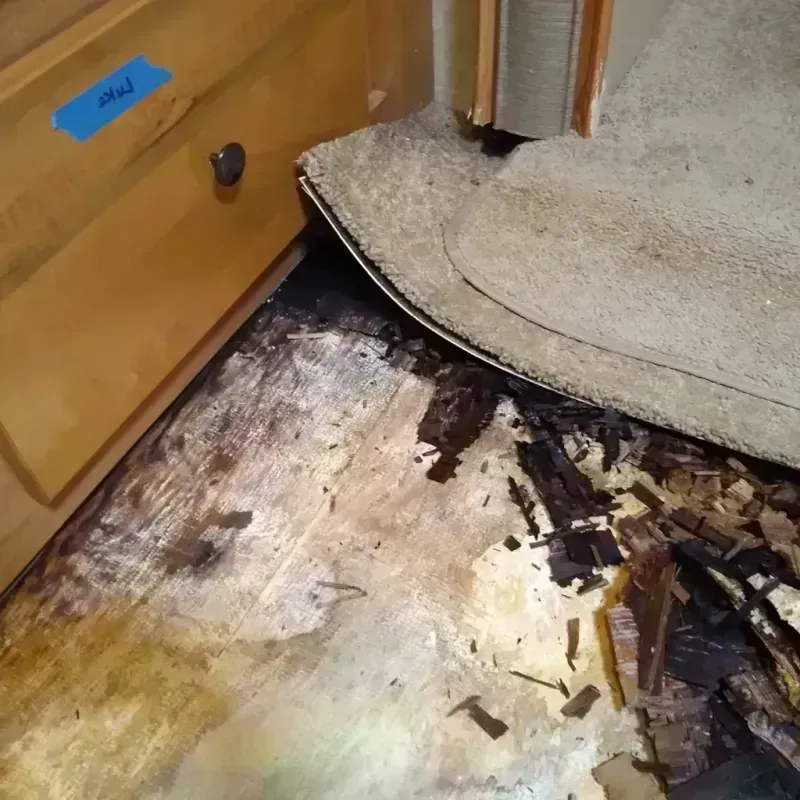 Wood Floor Water Damage in Logan Square, IL